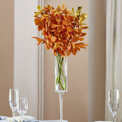 Orange Mokara Bouquet – BUSSE AND RIECK FLOWERS PLANTS & GIFTS, Kankakee IL