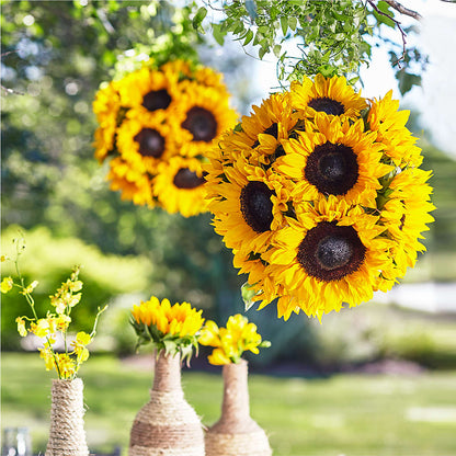 Sublime Garden Hanging Arrangement – BUSSE AND RIECK FLOWERS PLANTS & GIFTS, Kankakee IL