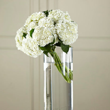 White Hydrangea Hand-Tied Bouquet – BUSSE AND RIECK FLOWERS PLANTS & GIFTS, Kankakee IL