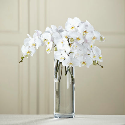 White Phalaenopsis Bouquet – BUSSE AND RIECK FLOWERS PLANTS & GIFTS, Kankakee IL