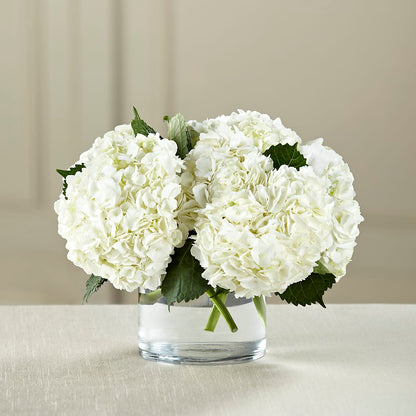 White Hydrangea Bouquet – BUSSE AND RIECK FLOWERS PLANTS & GIFTS, Kankakee IL